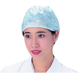 fBX|LbvSC-D1 100 699101 AS