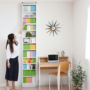 MEMORIA I[v {I uZbg 41.5cm FRM-0100SET zCg {́{uZbg 41.5cm JKv