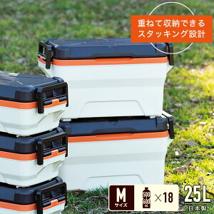 悭΂N[[ 25L 25L DCM