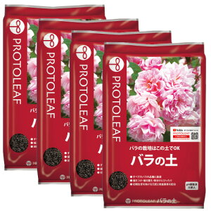 10%OFFN[| 420:00`523:59y܂Ƃߔzvg[t o̓y 14L×4 vg[t