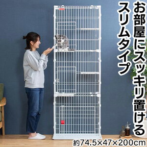 XLbgP[Wi3i^Cvj PSCC-753 3i ACXI[}