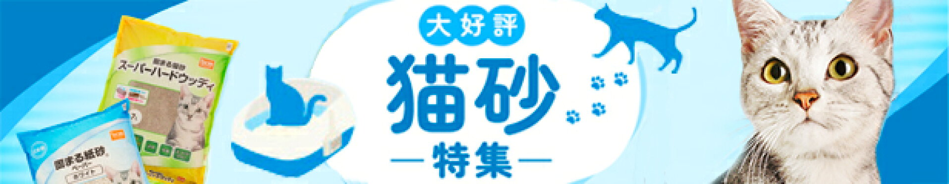 新・猫砂特集