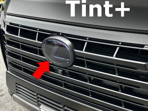 Tint+ �G���u���� �X���[�N�t�B���� (�X���[�N 20��) ���N�T�XGX550 VJA252W
