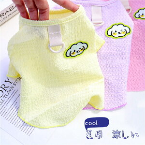  tĕ  n[lXEFA Vc t 킢 ^ p  ĕ  Vv   킢 񂿂񕿐lC OF  n[lXm ̎q j̎q v[g