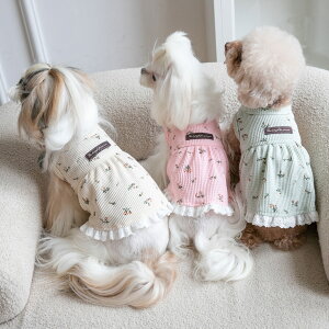  t  s[X t hbOEFA ̕ L t`uhbO  ybg  킢 ㎿ Ȏ  U  X ̎q ybgpXJ[g 3Fy2023NtV 