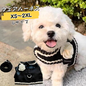 V INS pn[lX [htZbg}WbNe[v  L ʋC   ȒPEU otďH~[hn[lXʋCUEFAɒ^ ^ ^ LpE