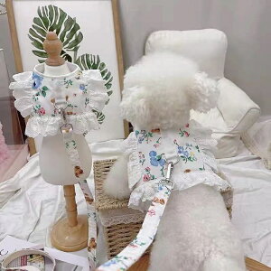 2022NV INS pn[lX[htZbg}WbNe[vtt[Xԕ L ʋC   ȒPEU otďH~[hn[lXʋCUEFAɒ^