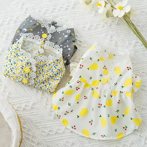 ybgEFAybgms[XȎԕy  ĕ t t t  ̕ ybg L Ck gCv[h ` _bNX}`[Y pi p hbOEFA zVc̎q