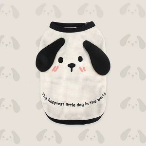  ĕ t t t  _Ngbv ybgEFA ybgm ̕ ybg L Ck  IV gCv[h ` _bNX }`[Y F _炩 pi p hbOEF