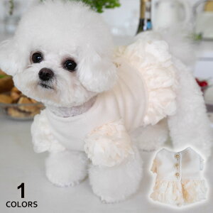  zCg R[g t tF~j  h  ̕ hbOEFA H ~ m ybg   ybg ObY  AE^[ R[g g іh~ U 