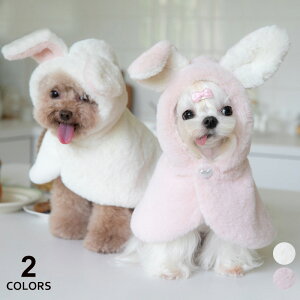  R[g AE^[ P[v }g  ̕ hbOEFA H ~ m ybg  RXv   IV ybg ObY  Ȃ Jo[I[ _炩 g