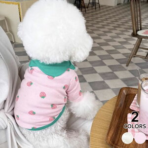  L  ybg hbOEFA ybg t  ʋC  킢 lC   q ybgEFA ̎q j̎q U [EFA o v[g CX^f