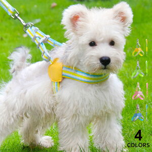   p [h n[lX Zbg ߉\ p[h ^p ^pn[lX ybg   U U  ^ o 4J[ XS S M L XL