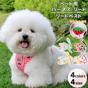  L ʕ ˂ ybgpn[lX [h Zbg  xXg^Cv `F[hJ XgCv ^ ^   \ UObY h~ SK ʋC