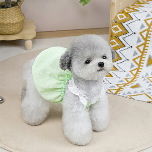  L ʕ ˂ tėp ybgEFA 킢 tXJ[g hX ^ ^   Lk ӂVGbg K[[ Vv 3FWJ y K _炩