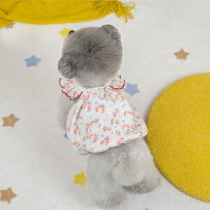 ybg  tėp ӂ胏s[X tfUC  L ʕ ˂  ^ ^ L 킢  Ȗf [EFA o Lk _炩 K ʋC