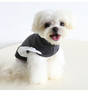  L ʕ ˂ ybgp H~ jbg ^Ngbv Vg̉H H`[t Vv n   h O[ `R[ ^ ^ gCv[h ` [L[ 