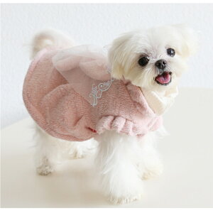  L ʕ ˂ ybgp H~ s[X hX ӂ Vg̉H Pl {t Pn   h ^ ^ gCv[h ` [L[ }`[Y 