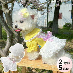  ybg t   hbOEFA s[X n[lXEFA EFfBOhX  킢  ̎q p[eB[ i hJF { [X OhbO LOp[e