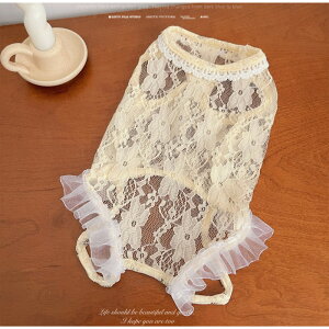  L ʕ ˂ [X ybg  t   ʋC tt nClbN m[X[u ^ ^ XS`XXL   킢 ̎q hbOEFA yb