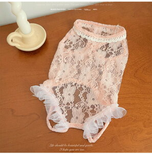  L ʕ ˂ [X ybg  t   ʋC tt nClbN m[X[u ^ ^ XS`XXL   킢 ̎q hbOEFA yb