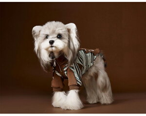  L ʕ ˂ H~ ybgEFA hbOEFA XEFbg p[J[ {[_[ XgCv  m ^ ^p TAWNEY BEAR ^Ej[xA uh  킢 h 