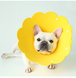  L ʕ ˂ Ԍ^ GUxXJ[ y _炩 K EȒP 킢 rߖh~ ݂h~  ybgpJ[ ȒP 炩  r r h~ 