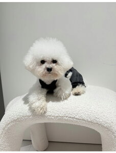  L ʕ ˂ fj Tybg I[o[I[ Ȃ pc t  H Rbg n Vv ^ ^ m  JWA R[f ubN zCg 2FWJ yb