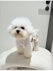  L ʕ ˂ fj Tybg I[o[I[ Ȃ pc t  H Rbg n Vv ^ ^ m  JWA R[f ubN zCg 2FWJ yb