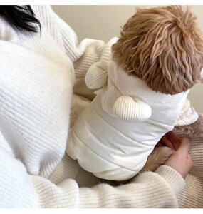  L ʕ ˂ ybg _E  N ~p xAt t[ht WPbg ѕz R[fCؑ [hz[t U o h ^ ^