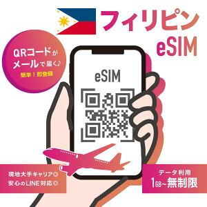 ytBseSIMztBseSIM f[^v f[^ʐM tBsʐMLA:GlobeΉ eSIMQRR[h𑗕t w60܂ŗL tBss LINEő