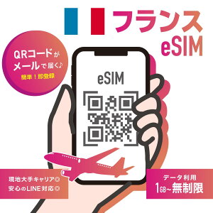 yeSIM tXztXeSIM f[^ʐMv f[^ʐM tXʐMLAFBouygues Telecom/Free Mobile/SFRΉ eSIMQRR[h𑗕t w90܂ŗL [