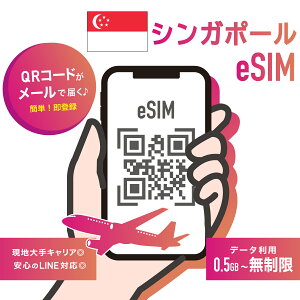 yeSIM VK|[zVK|[eSIM  AWA5Ή f[^ʐM ΉVK|[EChlVAE}[VAE^CExgi eSIMQRR[h𑗕t w