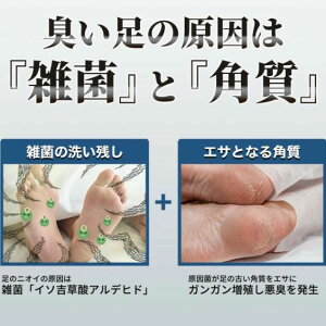 Y鑫LuV `L  L tbguV 􂢃}bg L  uV L  ɂ ΍  uV  p  p tbgPA 3D̍\