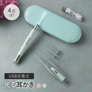 LEDライト付き耳かき 4点SET 光る耳かき USB充電式 水洗い可 ケース付き(3)