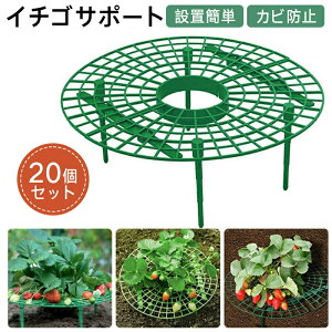 C`SI 20Zbg x C`ST|[g Xgx[T|[g C`SU Ax ~` yʎ ݒuȒP 䕕cI ͔|I xI |x  t[X^h |bN 