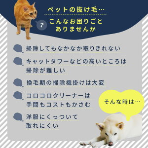 ыʎ uV ybg   N[i[ zR uV  J[ybg \t@  ыʎuV ыʂƂ L̖ ̖ J[ybgN[i[ ybg pi