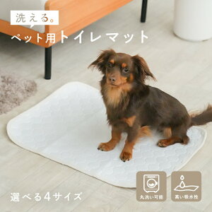 􂦂 ybgV[c  ybgV[g L gC}bg }bg h h}bg hV[g  z ~ Rh~ 傫 Zbg V[g pbh p 