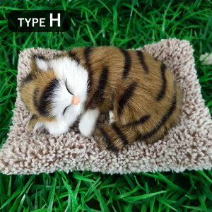 ʂ 킢 L p_ Aj} u ԗp CeA Y u ʂ ΍ y ԓp p ԗp ԓ J[ANZT[