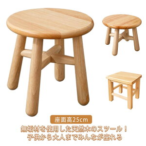 LbY Xc[ ʍ25cm ؐ k [Xc[ VR C ؐ CX ~jXc[  EbhXc[ q ֎q c  ~` lp  Ⴂ ֎q 킢   | 
