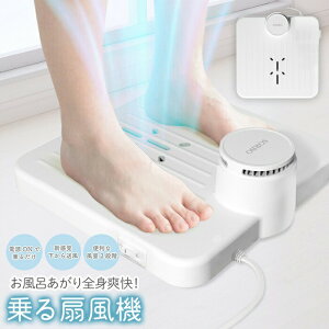 @ {fBt@ C 瑗 啗 2iK ĕWy G߉Ɠd Sg @ ʏ  C Ђ N[_E  ΍ObY V!z  80S {