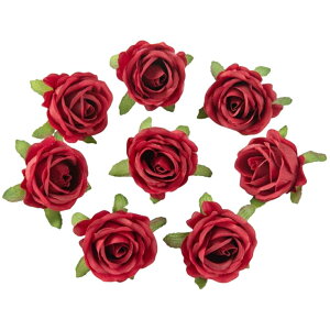  KN ΂ o 4Zbg tFCNt[ Ԃ̂ sȂ Ntg nhCh DIY |   ANZT[ RT[W  p[eB[ JoLx