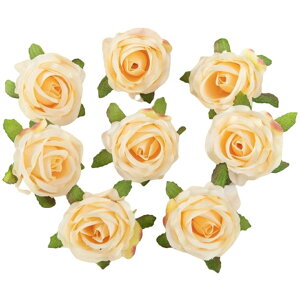  KN ΂ o 4Zbg tFCNt[ Ԃ̂ sȂ Ntg nhCh DIY |   ANZT[ RT[W  p[eB[ JoLx