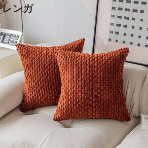 NbVJo[ Jo[̂ Pi 45cm zcJo[ Jo[ ` n PF Vv XNGA lp 킢  k _ CeA JoLx