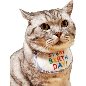 ybgpX^C LpX^C p LbgEFA 悾ꂩ ru L  lR Lbg Ck hbO ybgpi At@xbg p a o[Xf[ j NX}X hJ pCsO 