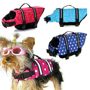 ^ ^  CtWPbg V C 쁞PTL100 | ~ ybg p ^ CtxXg pCtWPbg ̃CtWPbg ybgpCtWPbg ybgpi pi 