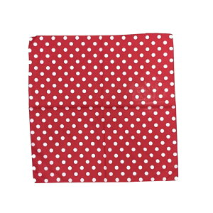 C~ ` 56cm ٓ `  `}bg XJ[t nJ` ʂ o_i bsO hbg   Vv  j G 