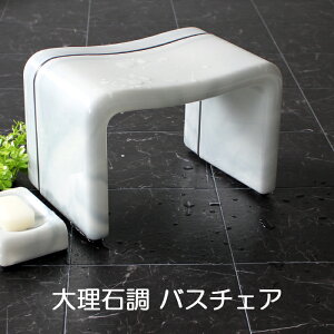 22cm oX`FA C  C ֎q CX C  嗝Ε Xg[ }[u  R̎ zCg~bNX