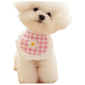 ybgpX^C ^ L ANZT[ 悾ꂩ ru XJ[t t [X  t[ `FbN 킢 