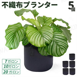 sDzv^[ 12K sDz|bg 5Zbg sDz v^[ 7K 20K z ͔| Aؔ 50×40cm tFg 35×28cm 40×35cm sDz|bg A y y [  z zA